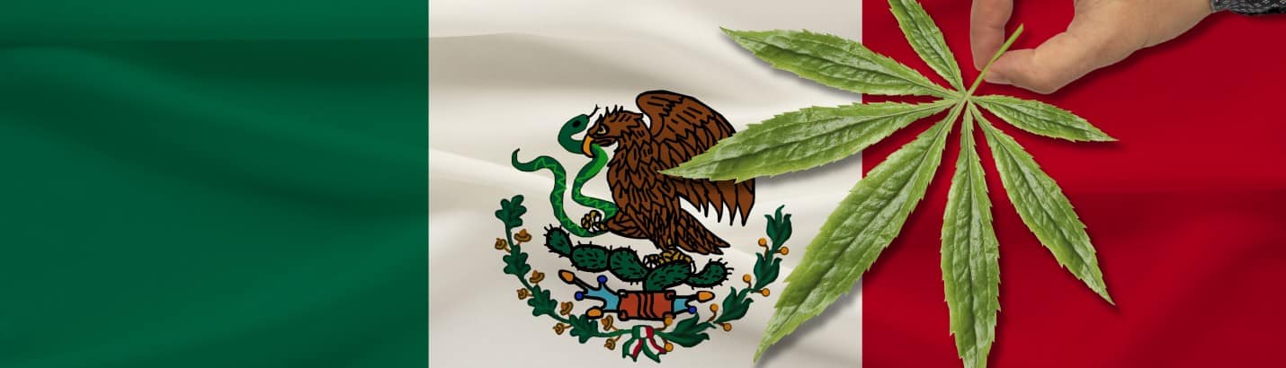 Mexiko Cannabis
