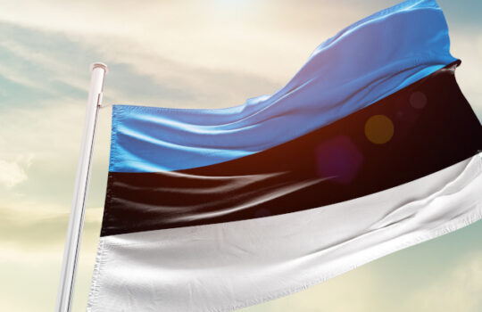 Estonia national flag cloth fabric waving on the sky - Image