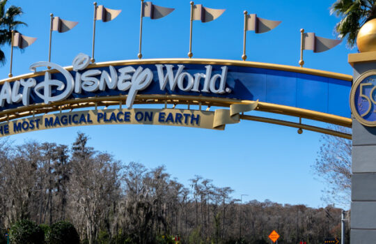 Disney Akie Disney+ World