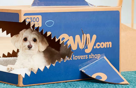 Chewy Aktie Pet Shop Tierhandlung