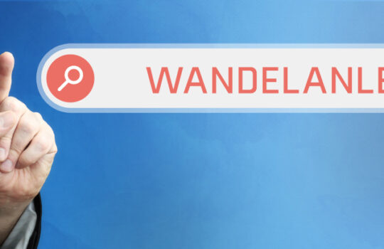 Wandelanleihe Was ist das?
