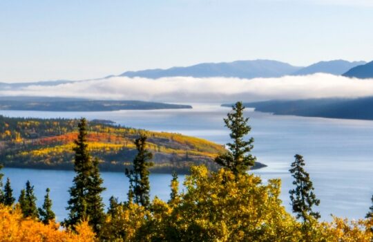 Kanada Rohstoff Kupfer Yukon Aktie