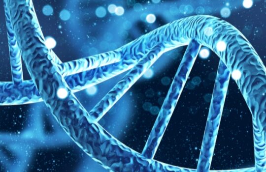 CRISPR Therapeutics Aktie Gene Gen