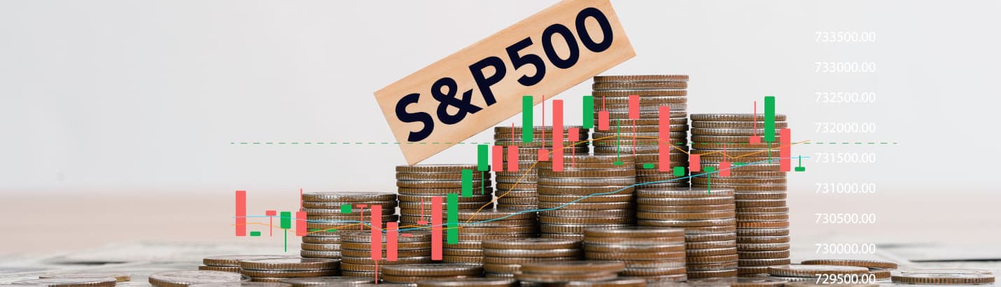 Diese 20 Aktien haben den S&P 500 seit 2022 getragen › sharedeals.de