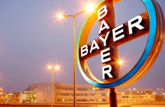 Das Bayer-Kreuz auf dem Firmengelände in Shanghai