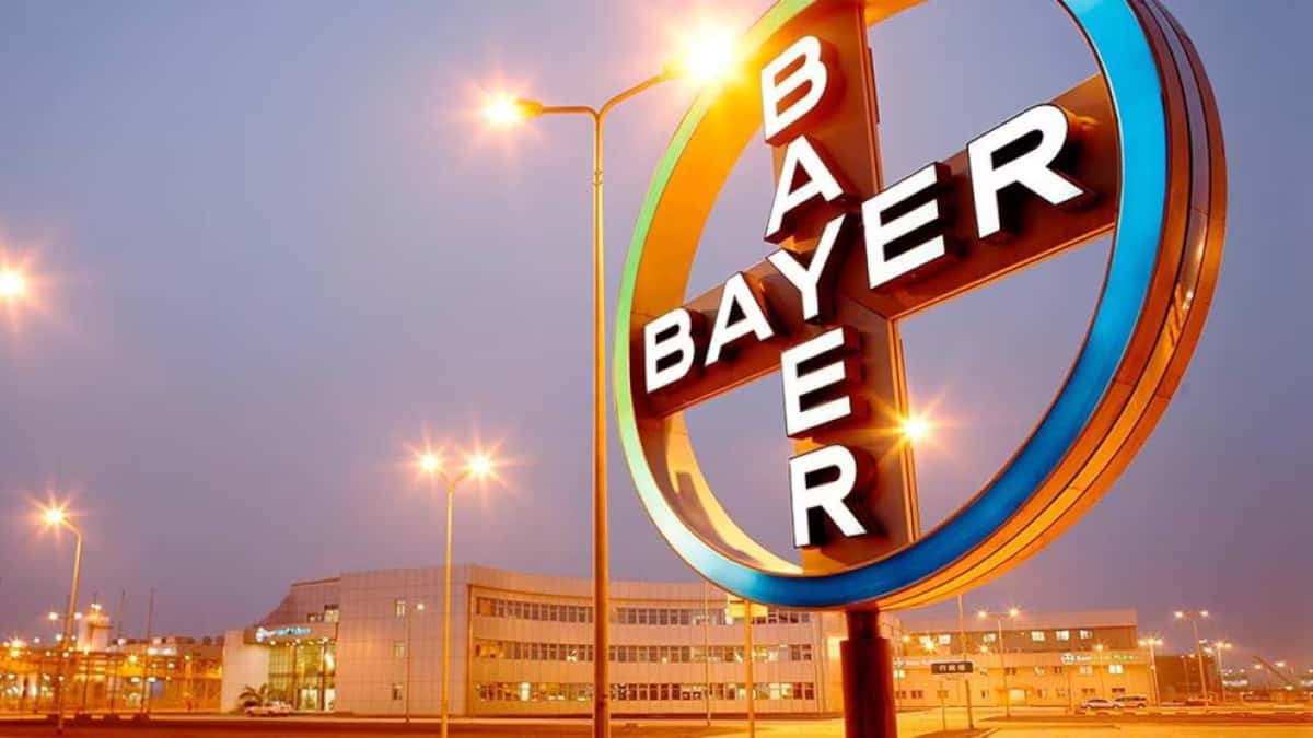 Bayer-Aktie: Kommt nach Crash-Jahr 2024 die Erholung? › sharedeals.de