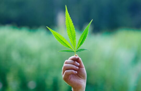 Canopy Growth