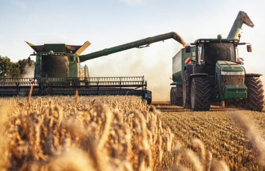 Mähdrescher und Traktor bei der Ernte auf einem Weizenfeld