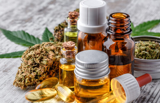 Green leaves of medicinal cannabis with extract oil.Medical marijuana flower buds. Hemp buds - medical marijuana concept