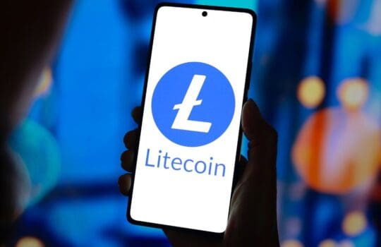 Lite Strategy