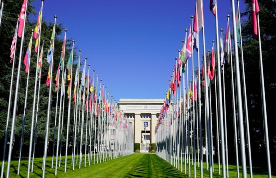 a long row of flags in front of a building